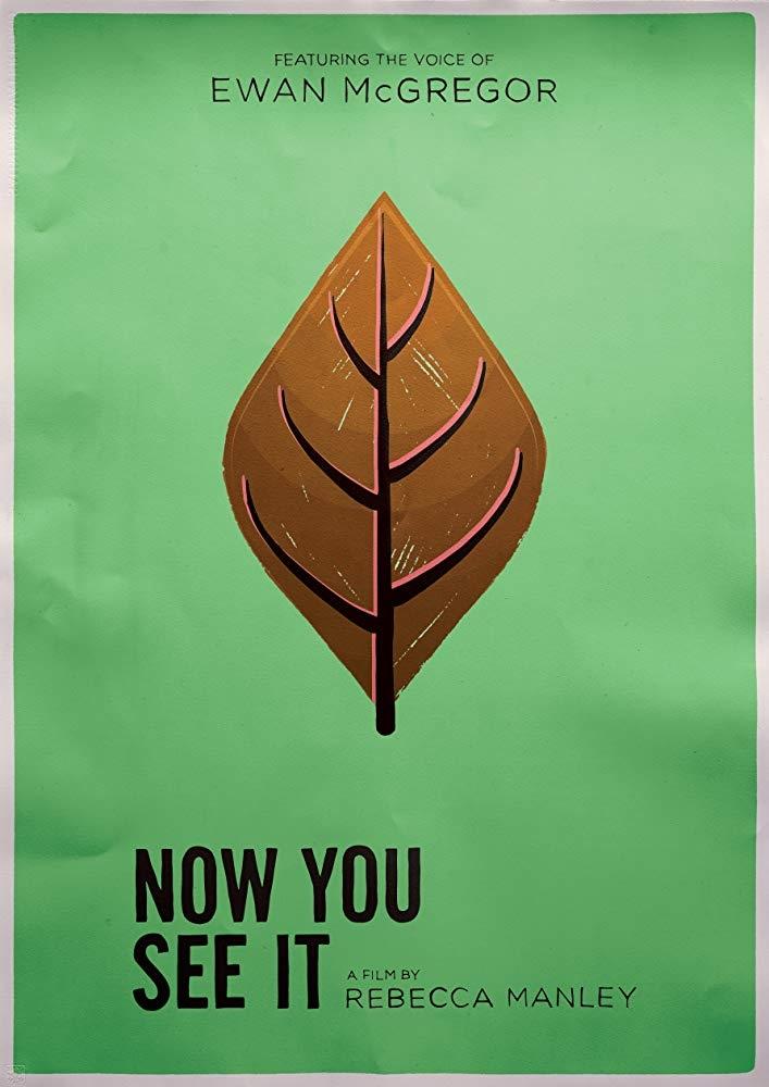 Постер Now You See It